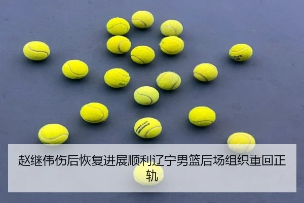 赵继伟伤后恢复进展顺利辽宁男篮后场组织重回正轨